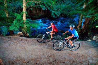 Montain Biking Package | Palm Court Rotorua Motel