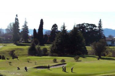 Golf Package | Palm Court Rotorua Motel