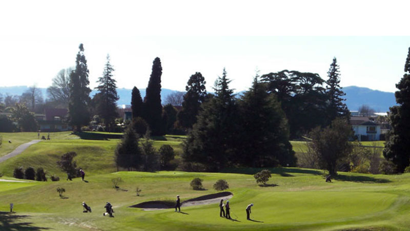 Golf Package - Palm Court Rotorua, rotorua accommodation