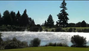 Thermal Golf Rotorua | Palm Court Rotorua