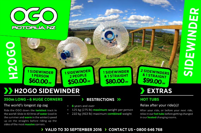 OGO - Inflatable Ball Rides