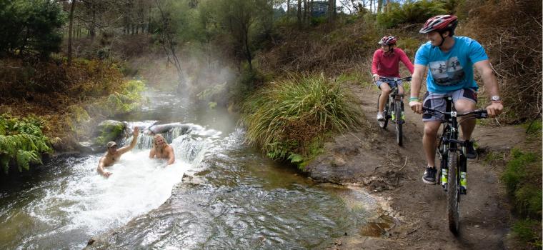 Winter Bike Trails - Palm Court Rotorua