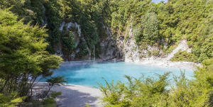 Rotorua Lates - Palm Court