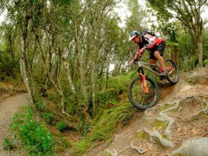 Rainbow-Mountain-Biking-Rotorua-ASURE-Palm-Court-Rotorua